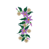 Lilies Wedding Lilies Wedding