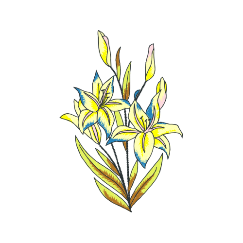 Lilies Wedding Lilies Wedding