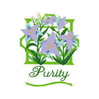 Lilies Wedding Lilies Wedding