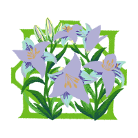 Lilies Wedding Lilies Wedding