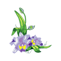 Lilies Wedding Lilies Wedding