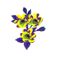 Lilies Wedding Lilies Wedding