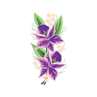 Lily Stargazer Wedding Lily Stargazer Wedding