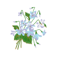 Lily Stargazer Wedding