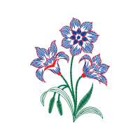 Lily Wedding Lily Wedding