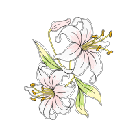 Line Art Wedding Line Art Wedding