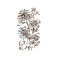 Line Art Wedding Line Art Wedding