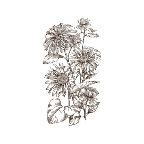 Line Art Wedding Line Art Wedding