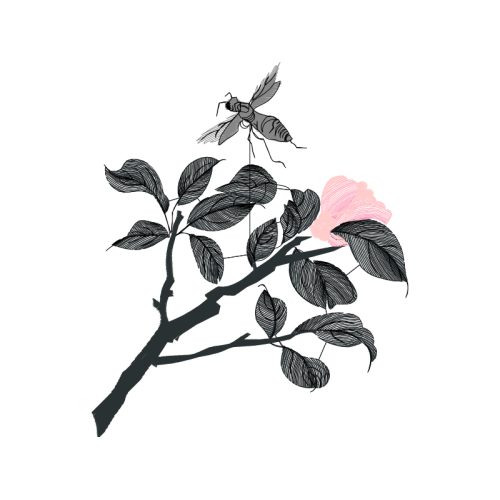 Line Art Wedding Line Art Wedding