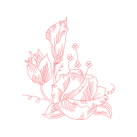 Line Art Wedding Line Art Wedding