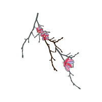 Line Art Wedding Line Art Wedding