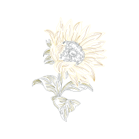 Line Art Wedding Line Art Wedding