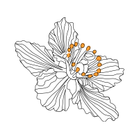 Line Art Wedding Line Art Wedding