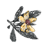 Line Art Wedding Line Art Wedding