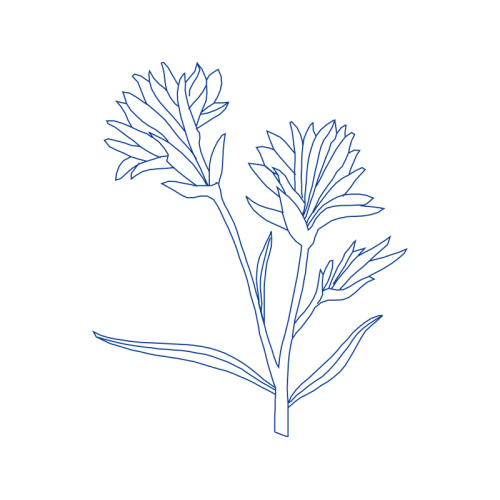 Line Art Wedding Line Art Wedding