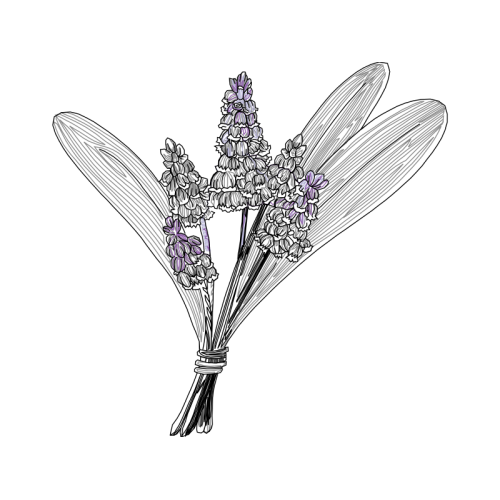 Line Art Wedding Line Art Wedding