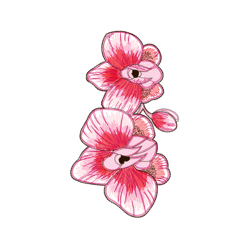 Line Art Wedding Line Art Wedding