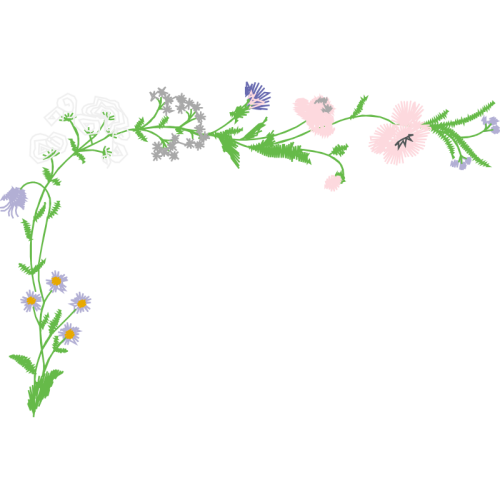 Lobelias Wedding Lobelias Wedding