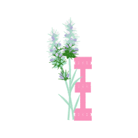 Lobelias Wedding Lobelias Wedding