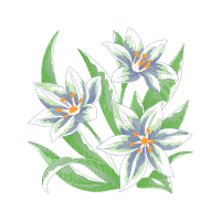 Lobster Claws Wedding Lobster Claws Wedding