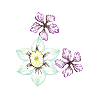 M 02Csf Wedding M 02Csf Wedding