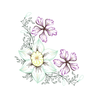 M 02Csf Wedding M 02Csf Wedding