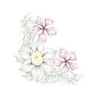 M 02Csf Wedding M 02Csf Wedding