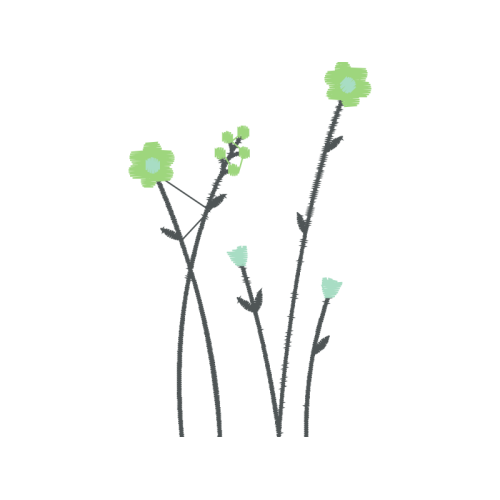 M 02Csf Wedding M 02Csf Wedding