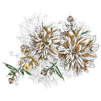 M 02Csf Wedding M 02Csf Wedding