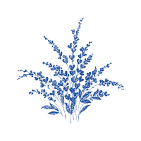 M 02Csf Wedding M 02Csf Wedding