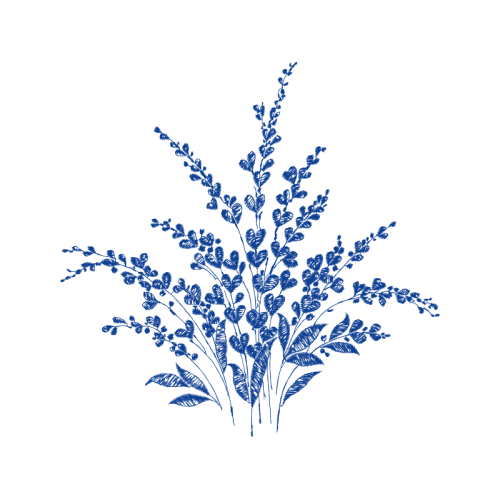 M 02Csf Wedding M 02Csf Wedding