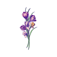 M 02Csf Wedding M 02Csf Wedding