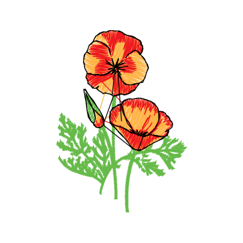 M 02Csf Wedding M 02Csf Wedding