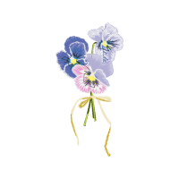 M 02Csf Wedding M 02Csf Wedding