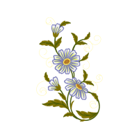 M 02Csf Wedding M 02Csf Wedding