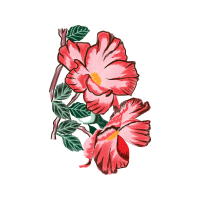 M 02Csf Wedding M 02Csf Wedding