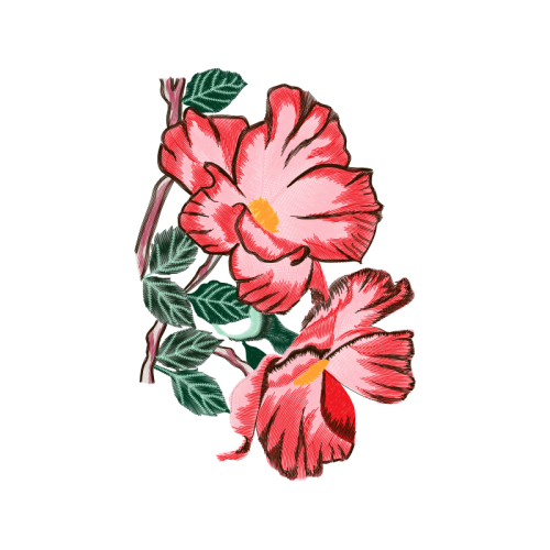 M 02Csf Wedding M 02Csf Wedding