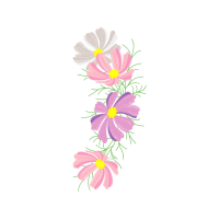 M 02Csf Wedding M 02Csf Wedding