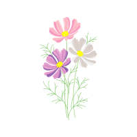 M 02Csf Wedding M 02Csf Wedding