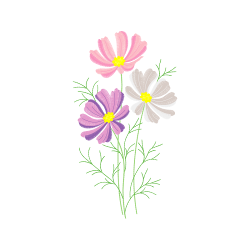 M 02Csf Wedding M 02Csf Wedding