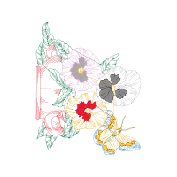 M 02Csf Wedding M 02Csf Wedding