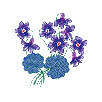 M 02Csf Wedding M 02Csf Wedding