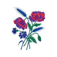 M 02Csf Wedding M 02Csf Wedding