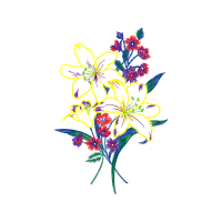 M 02Csf Wedding M 02Csf Wedding