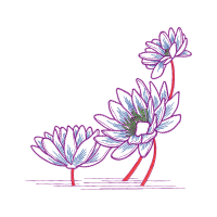 M 02Csf Wedding M 02Csf Wedding