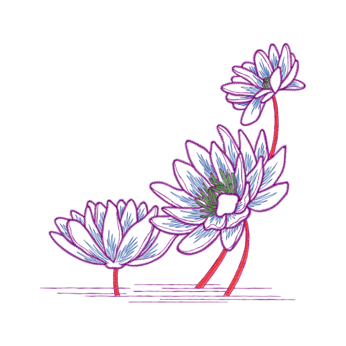 M 02Csf Wedding M 02Csf Wedding