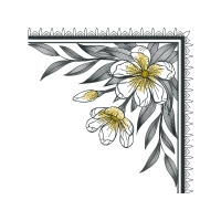 M 02Csf Wedding M 02Csf Wedding