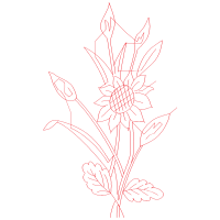 M 02Csf Wedding M 02Csf Wedding