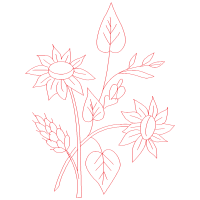 M 02Csf Wedding M 02Csf Wedding