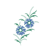 M 02Csf Wedding M 02Csf Wedding